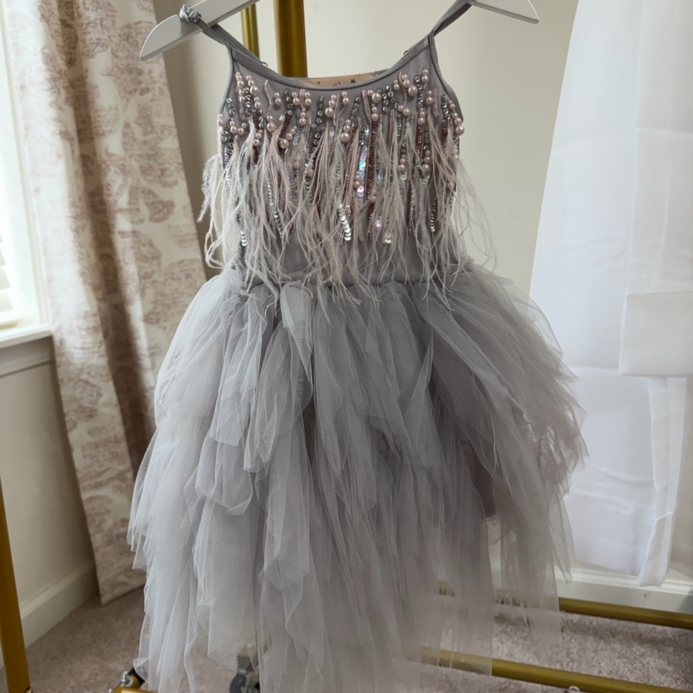 Tutu Du Monde Gray Feathered Dance Dress